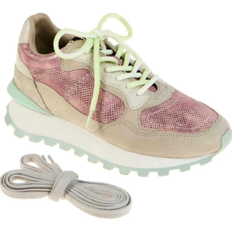 SHUSHOP ® PHOEBE Everyday Trainer Sneaker Flash Sale - NSN Fashion